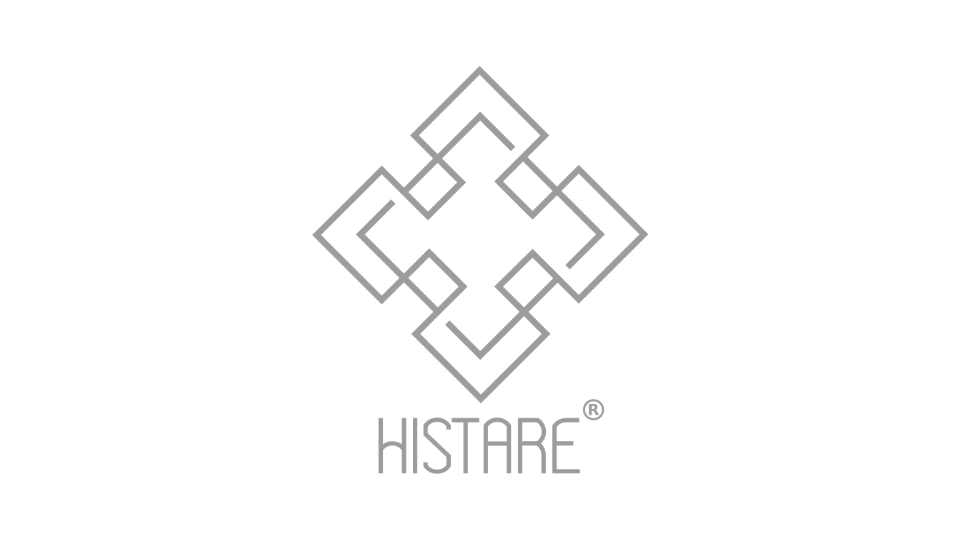 The Histare Group envisions shaping India’s Creativity through disruptive methodologies - Digpu News