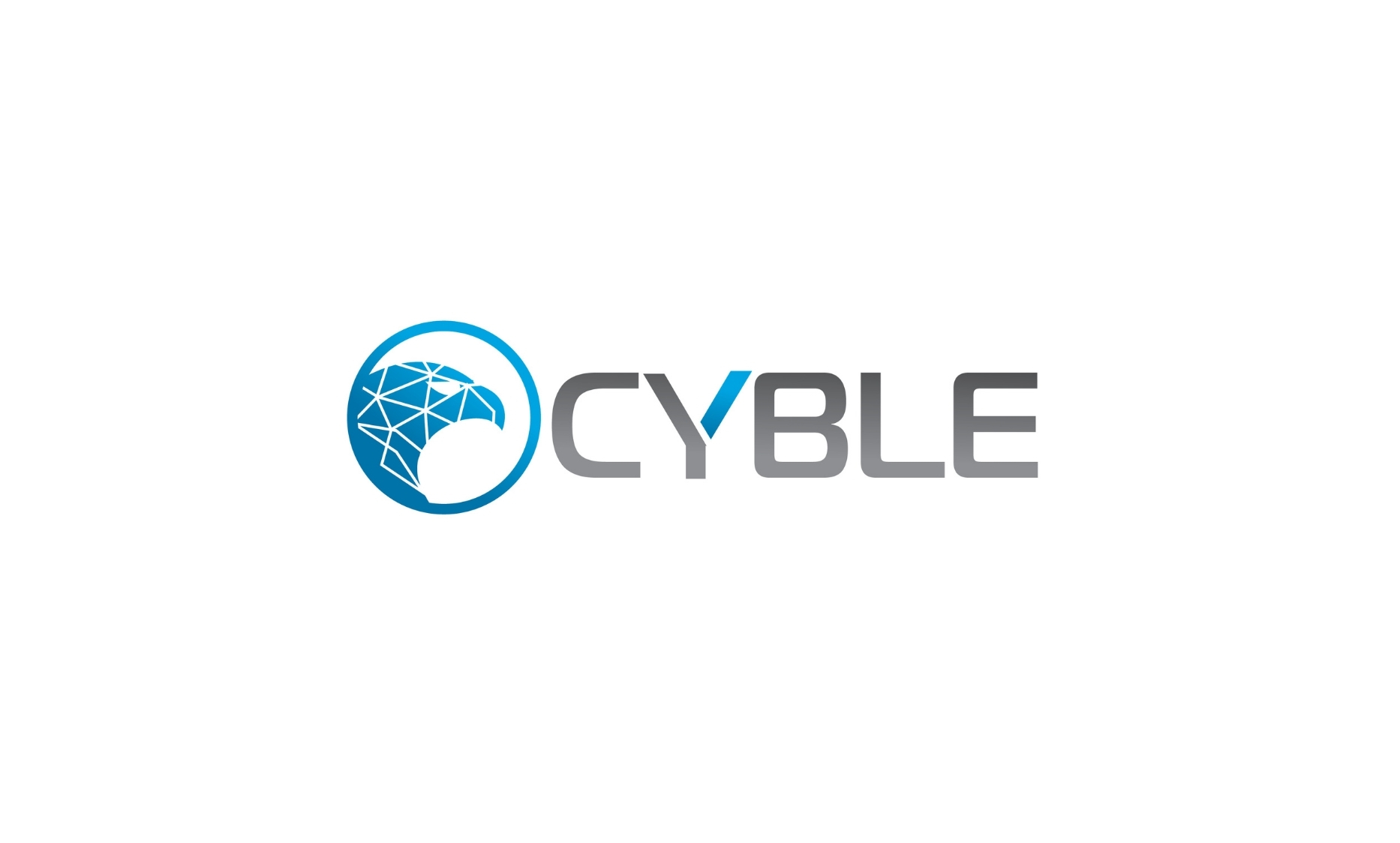 Cyble Announces $4 Million in Seed Funding - Digpu News